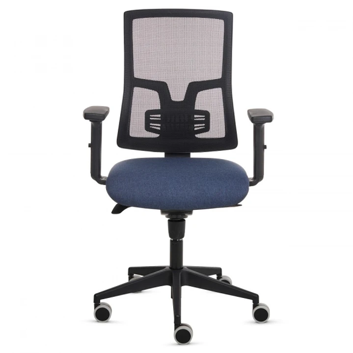 Fellowes Eleganza Silla de Oficina - Respaldo de Malla Transpirable Ajustable en Altura - Soporte Lumbar Ajustable - Reposabrazos Acolchados 2D - Ajus 1