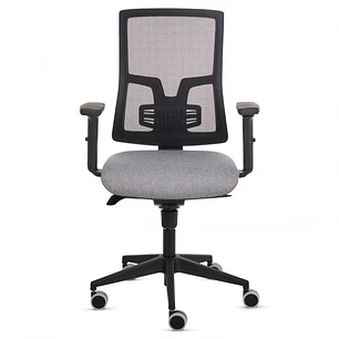 Fellowes Eleganza Silla de Oficina - Respaldo de Malla Transpirable Ajustable en Altura - Soporte Lumbar Ajustable - Reposabrazos Acolchados 2D - Ajus