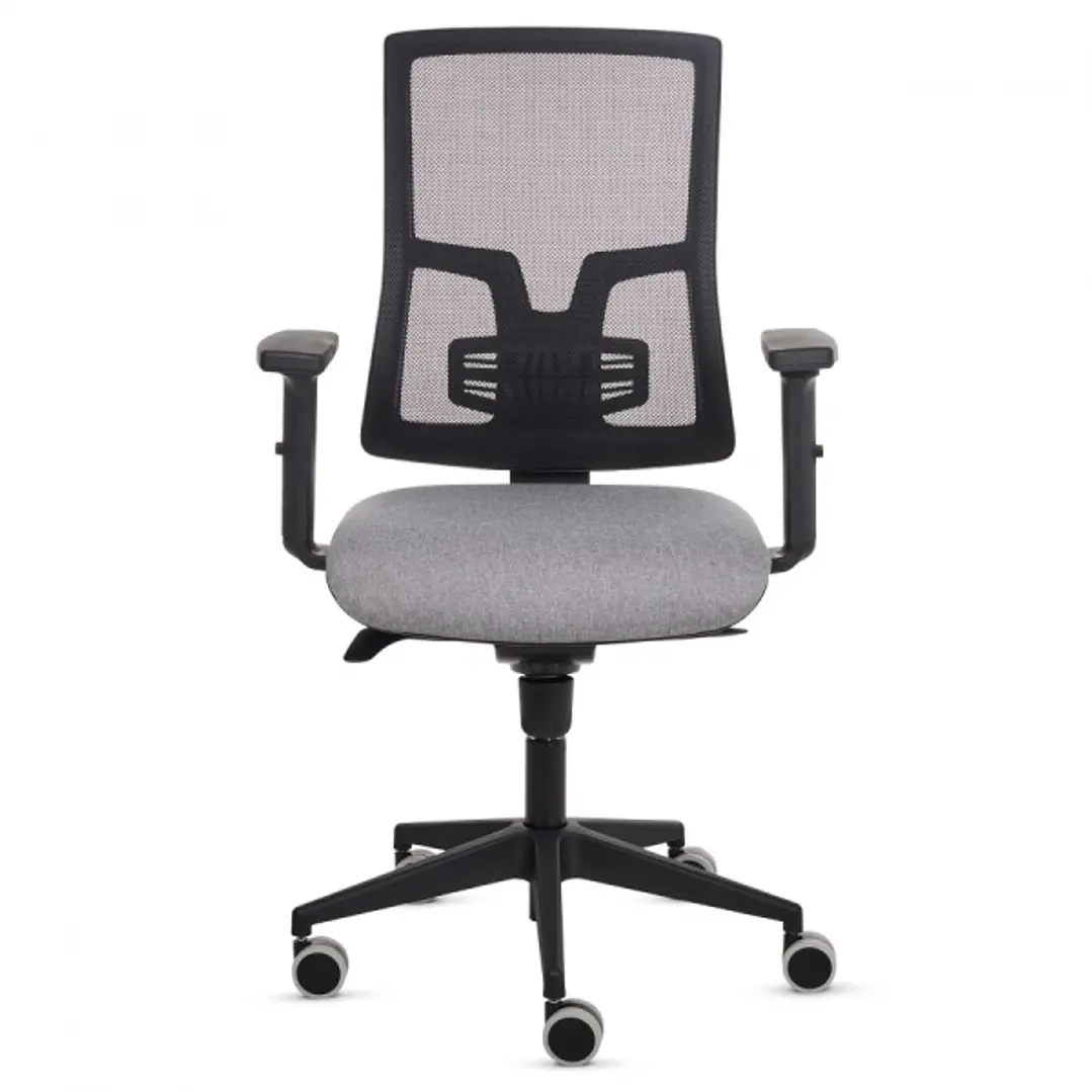 Fellowes Eleganza Silla de Oficina - Respaldo de Malla Transpirable Ajustable en Altura - Soporte Lumbar Ajustable - Reposabrazos Acolchados 2D - Ajus 1