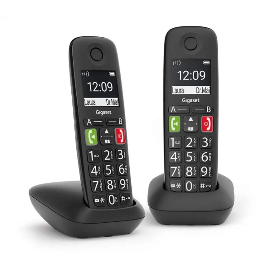 Gigaset E290 Duo Telefono Inalambrico Dect + 1 Supletorio - Pantalla Grande en B/N - Teclas con Numeros Grandes - Volumen con Funcion Amplificador - C 1