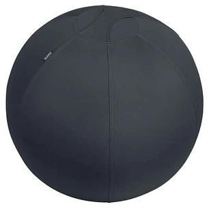 Leitz Ergo Active Balon de Asiento Antideslizante 65cm - Asa de Transporte Resistente - Carga Maxima de 150kg - Funda Lavable - Color Gris Oscuro