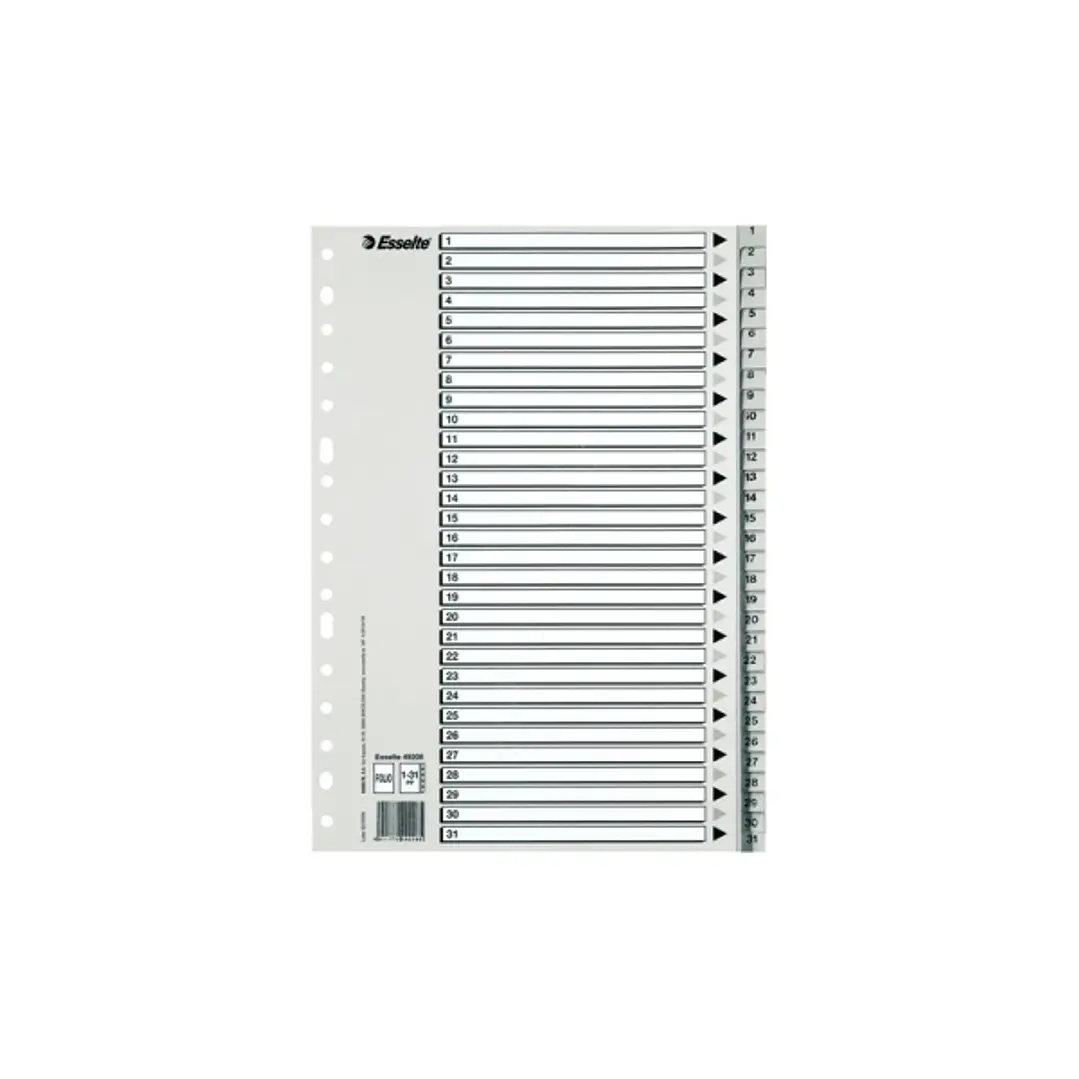 Esselte Indice Numerico de Plastico - Pestañas 1 al 31 - Multitaladro - Formato A4 - Color Gris 1
