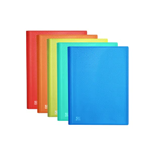 Oxford Urban A3 Carpeta de 20 Fundas Soldadas A3 - Tapa de Plastico Translucido - Colores Surtidos