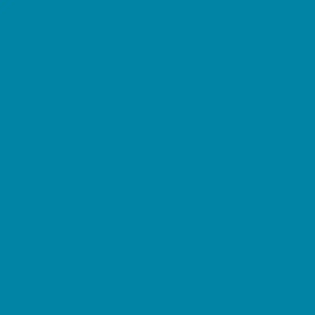 Canson Guarro Pack de 25 Cartulinas Iris de 185g - 50x65cm - Color Azul Caribe 1