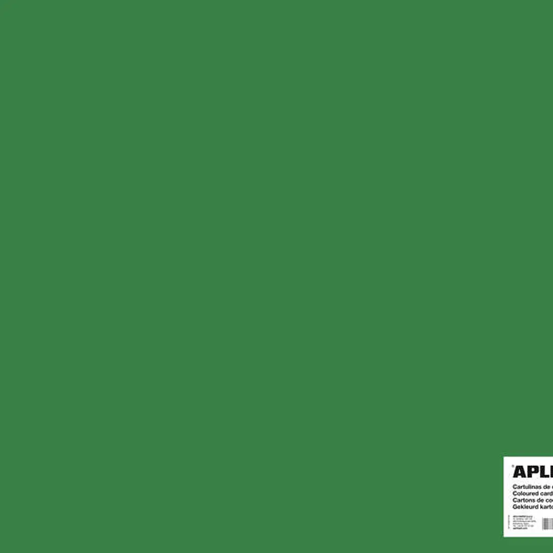 Apli Cartulina Verde Oscuro 50 x 65cm 170g 25 Hojas 1