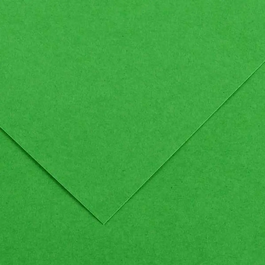 Canson Guarro Pack de 25 Cartulinas Iris de 185g - 50x65cm - Color Verde Billar 1
