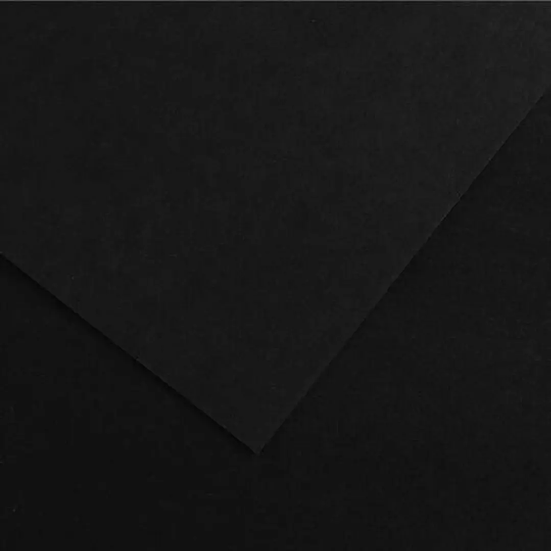 Canson Guarro Pack de 25 Cartulinas Iris de 185g - 50x65cm - Color Negro 1