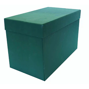 Elba Caja de Transferencia Tamaño Folio - Lomo de 20cm - Tapa Protectora y Solapa Abatible - Fabricada en Carton Reciclado Forrado con Geltex - Medida