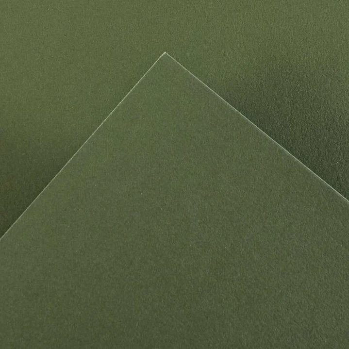 Canson Guarro Pack de 25 Cartulinas Iris de 185g - 50x65cm - Color Verde Safari 1