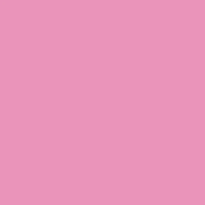 Canson Guarro Pack de 25 Cartulinas Iris de 185g - 50x65cm - Color Rosa Chicle 1