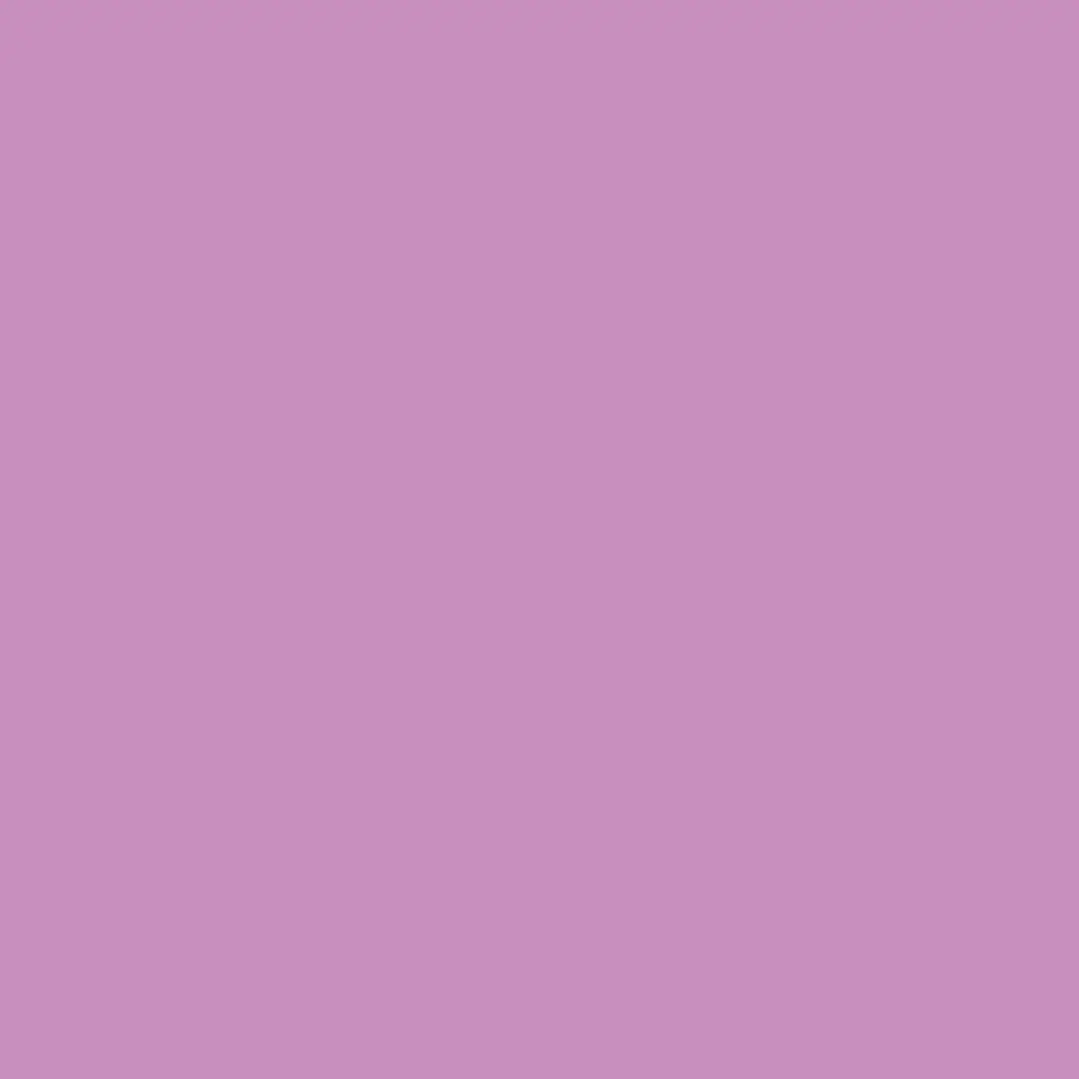 Canson Guarro Pack de 25 Cartulinas Iris de 185g - 50x65cm - Color Malva 1