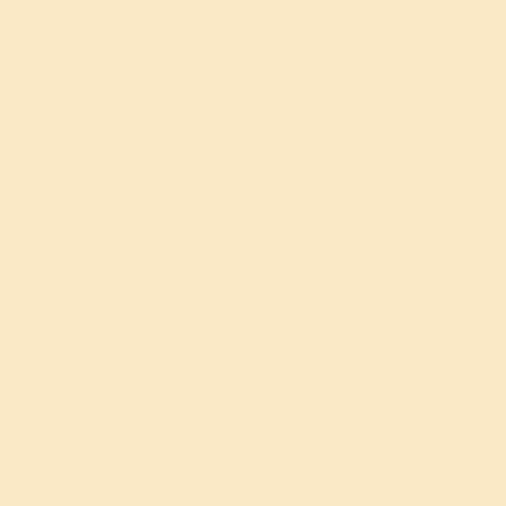 Canson Guarro Pack de 25 Cartulinas Iris de 185g - 50x65cm - Color Cascara Huevo 1