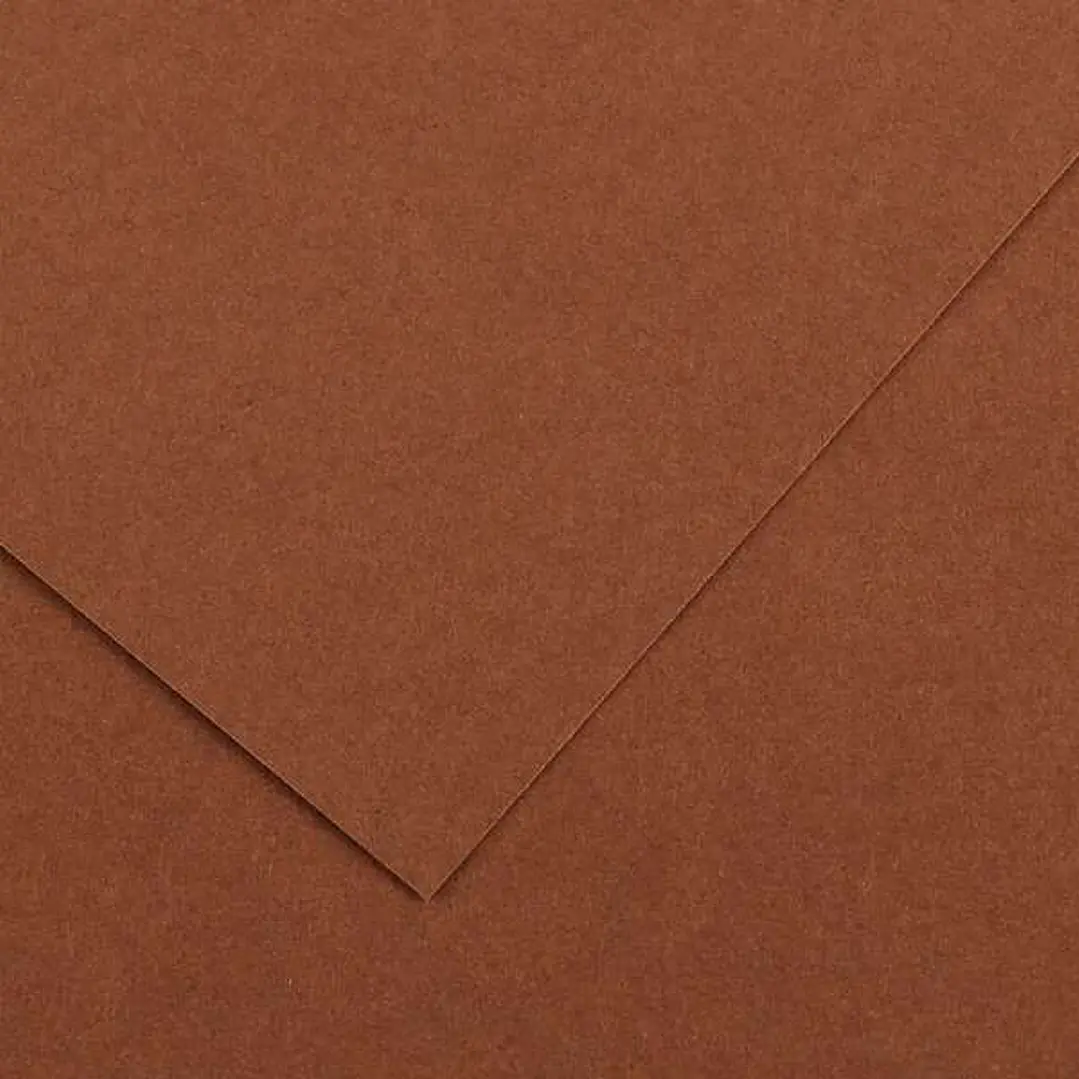 Canson Guarro Pack de 25 Cartulinas Iris de 185g - 50x65cm - Color Chocolate 1