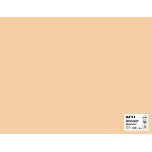 Apli Cartulina Salmon 50 x 65mm 170g 25 Hojas