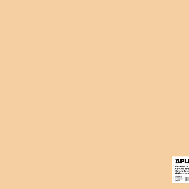 Apli Cartulina Salmon 50 x 65mm 170g 25 Hojas 1