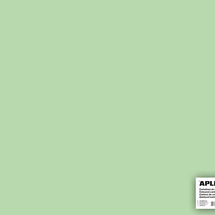 Apli Cartulina Verde Esmeralda 50 x 65cm 170g 25 Hojas 1