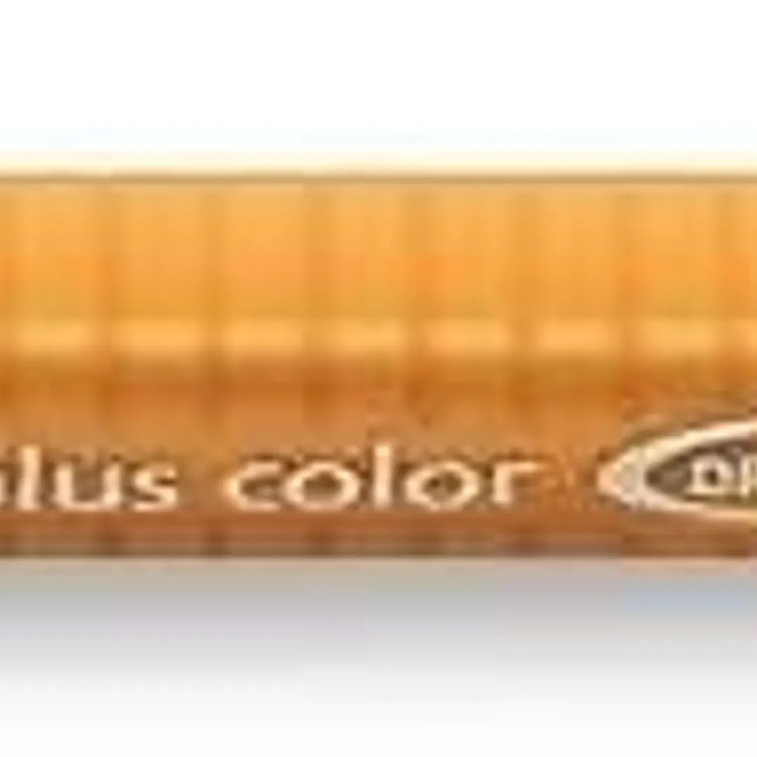Staedtler Triplus Color 323 Rotulador de Punta Fina - Trazo 1mm Aprox - Tinta Base de Agua - Color Ocre Oro 1