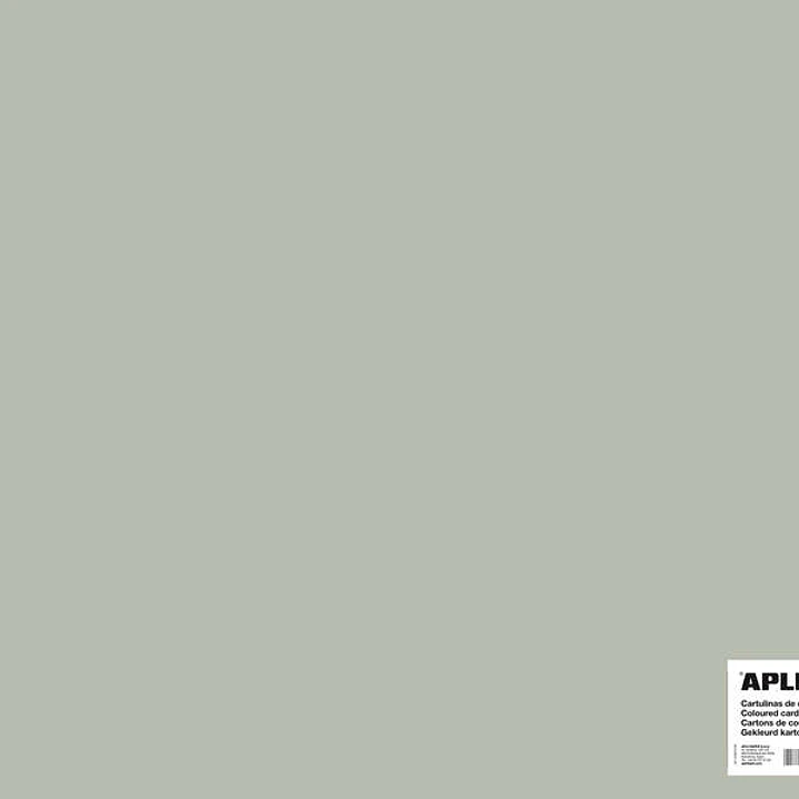 Apli Cartulina Gris 50 x 65cm 170g 25 Hojas 1