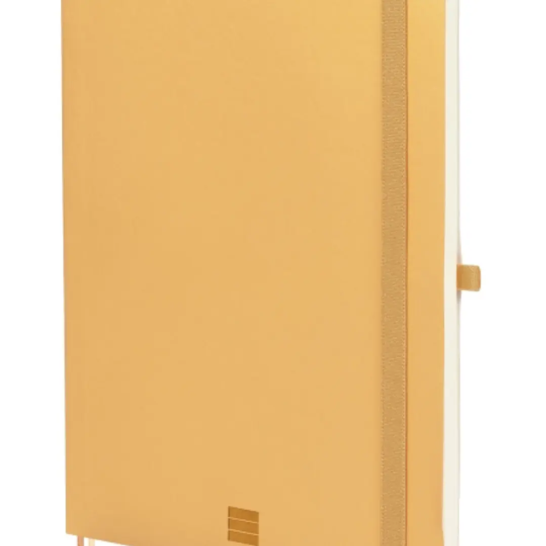 Finocam Nexo Cuaderno de Tapa Blanda - 72 Hojas - Formato B5 - 176x250mm - Papel Crema de 80g/m2 - Liso - Bolsillo Interior - Cierre con Goma - Hojas  1