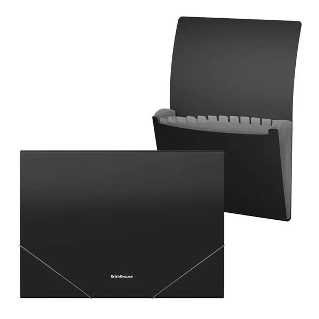 Erichkrause Matt Classic Carpeta/Clasificador con 12 Fundas A4 - Acabado Mate - Color Negro 1