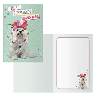 Dohe Pack de 6 Tarjetas de Felicitacion de Cumpleaños - 11.5x17cm - Impresion a Todo Color - Estampaciones con Pelicula de Color - Papel Offset Blanco