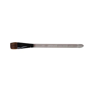 Daler Rowney Graduate Pincel Acuarela - Mezcla de Pelo de Pony y Sintetico - Mango Corto - Plano Lavis 3/4