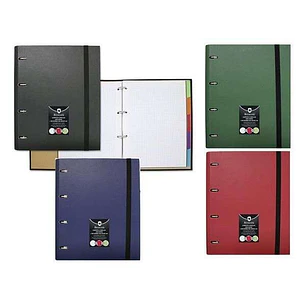 Bismark Carpeta de Anillas con Recambio de 100 Hojas Formato A4 + 5 Separadores + Sobre Portadocumentos - Colores Aleatorios Surtidos