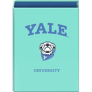 Dohe Yale Dog Carpeta de 4 Anillas Mixtas de 40mm - Formato Folio - Cubierta en Carton Forrado Plastificado