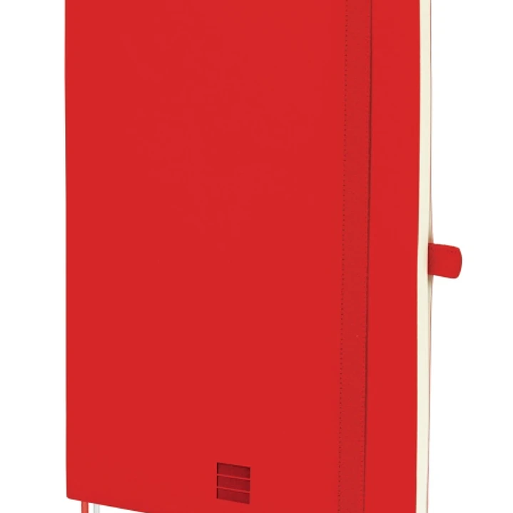 Finocam Nexo Cuaderno de Tapa Blanda - 72 Hojas - Formato A5 - 148x210mm - Papel Crema de 80g/m2 - Liso - Bolsillo Interior - Cierre con Goma - Hojas  1