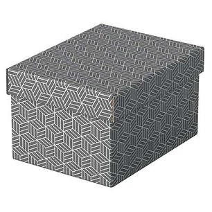 Esselte Pack de 3 Cajas Pequeñas de Almacenamiento con Tapa 200x150x255mm - Carton 100% Reciclado y Reciclable - Diseño Gris con Dibujo
