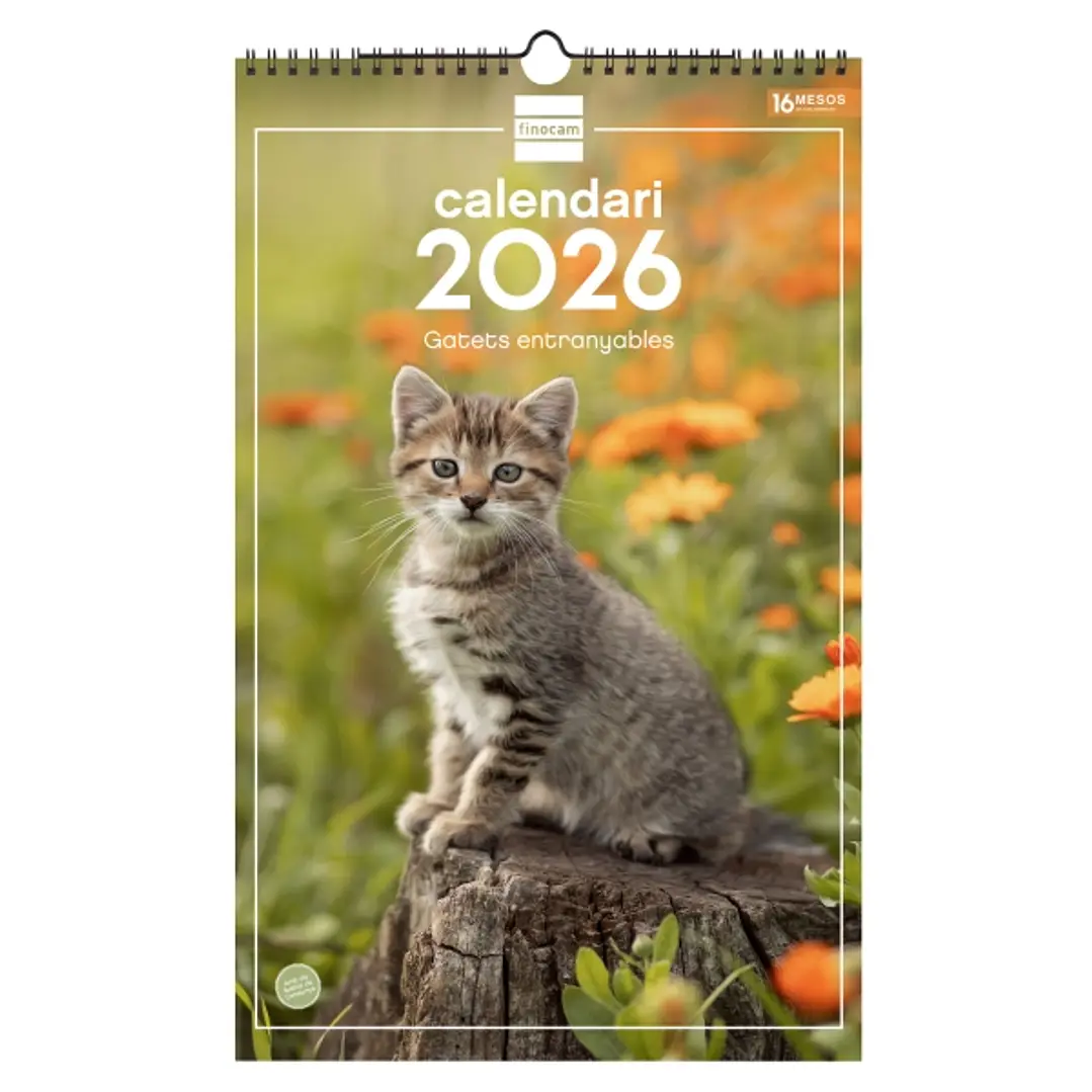 Finocam Calendario de Pared en Catalan - Anual 2026 - Imagenes Variadas - con Espiral - Espacio para Escribir - Tematica de Gatos 1