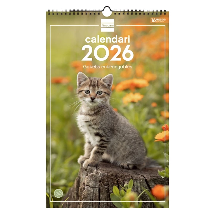 Finocam Calendario de Pared en Catalan - Anual 2026 - Imagenes Variadas - con Espiral - Espacio para Escribir - Tematica de Gatos 1