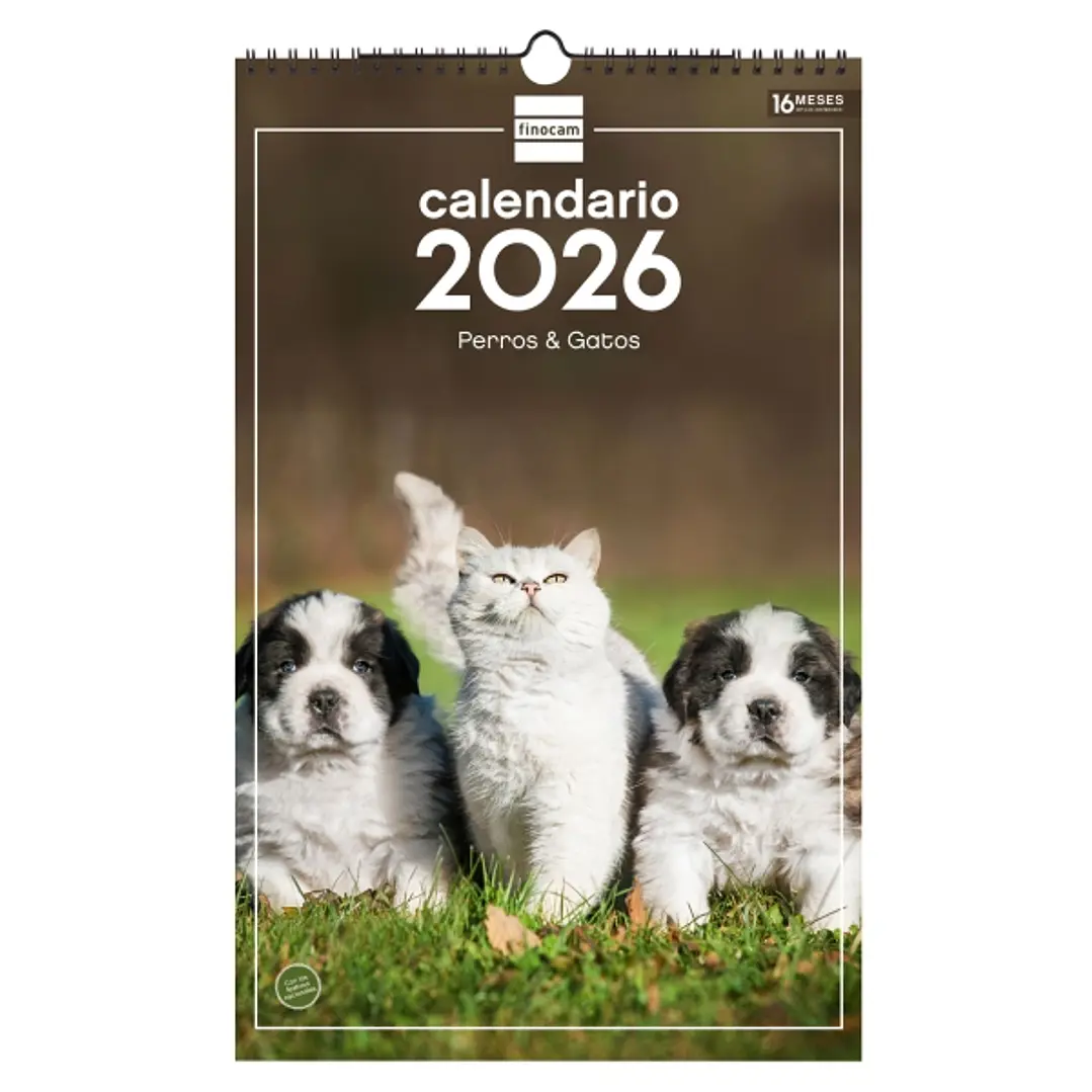 Finocam Calendario de Pared - Anual 2026 - Imagenes Variadas - con Espiral - Espacio para Escribir - Tematica de Perros y Gatos 1