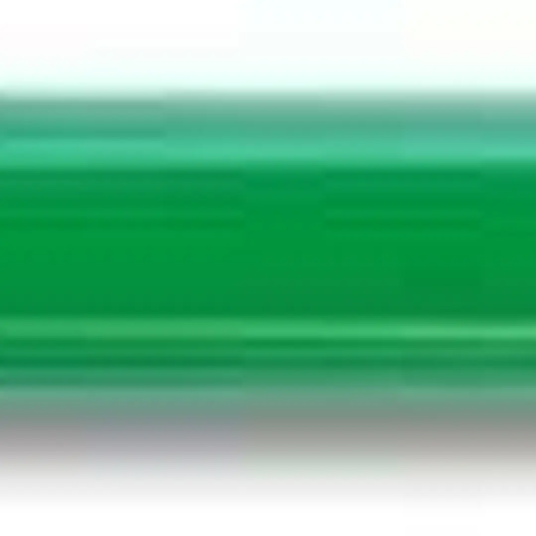 Pilot Color Eno H-197 Portaminas 0.7mm - Grip de Goma - Goma de Borrar - Mina de Color Verde 1