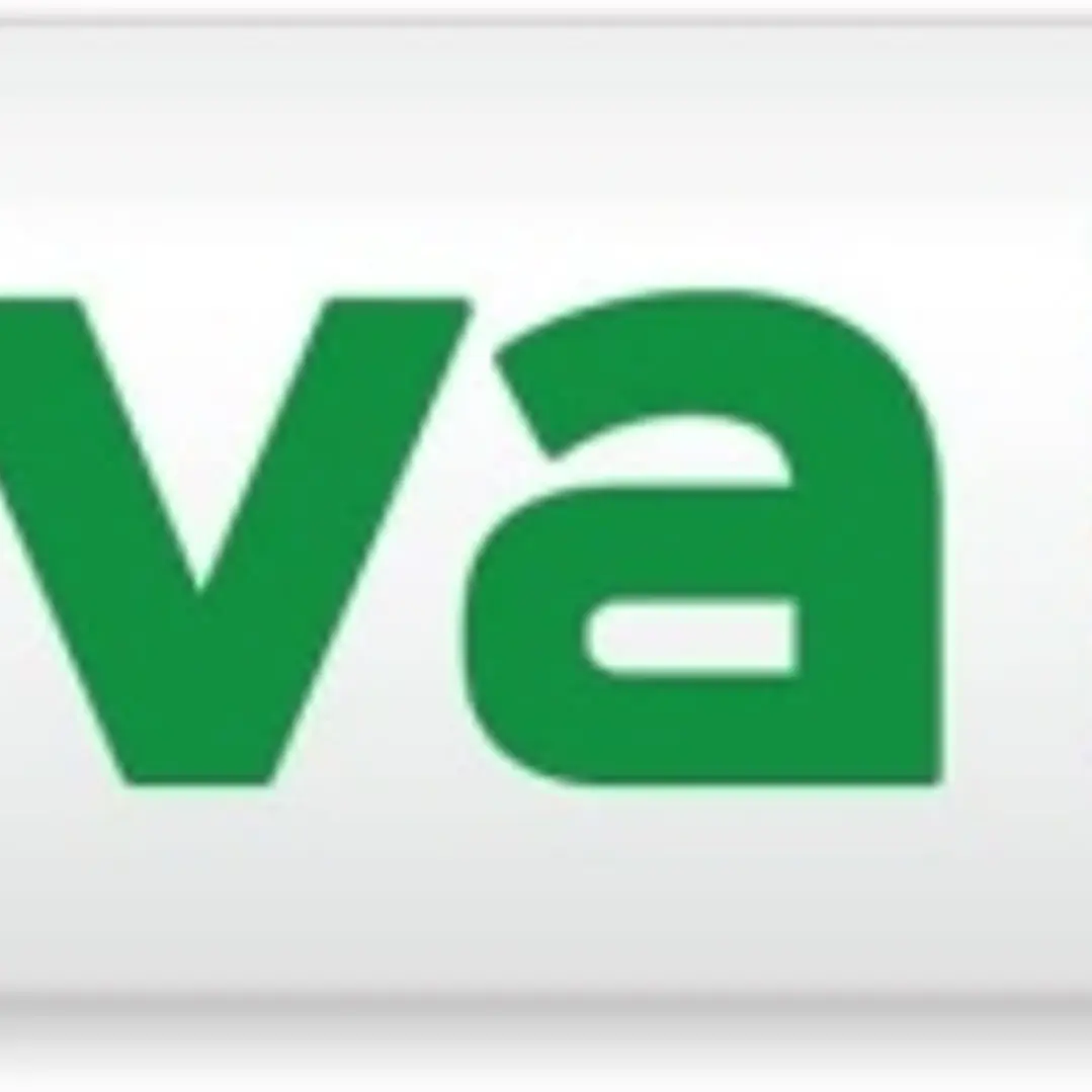 Molin Viva Rotulador para Pizarra Blanca - Punta Redonda de Fibra Sintetica - Trazo 3mm - Tinta con Base de Alcohol - Color Verde 1