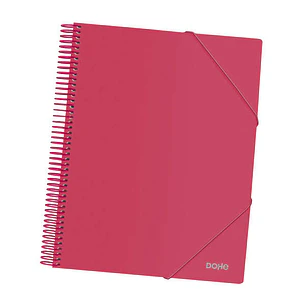 Dohe Carpeta con 30 Fundas Tamaño A4 - Tapa de Polipropileno Opaco 800 Micras - Fundas Transparentes 80 Micras - Espiral de Plastico Color - Gomas Ela