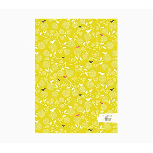 Pictura Cuaderno A5 - 15x21cm - 48 Paginas con Lineas - Papel Certificado FSC