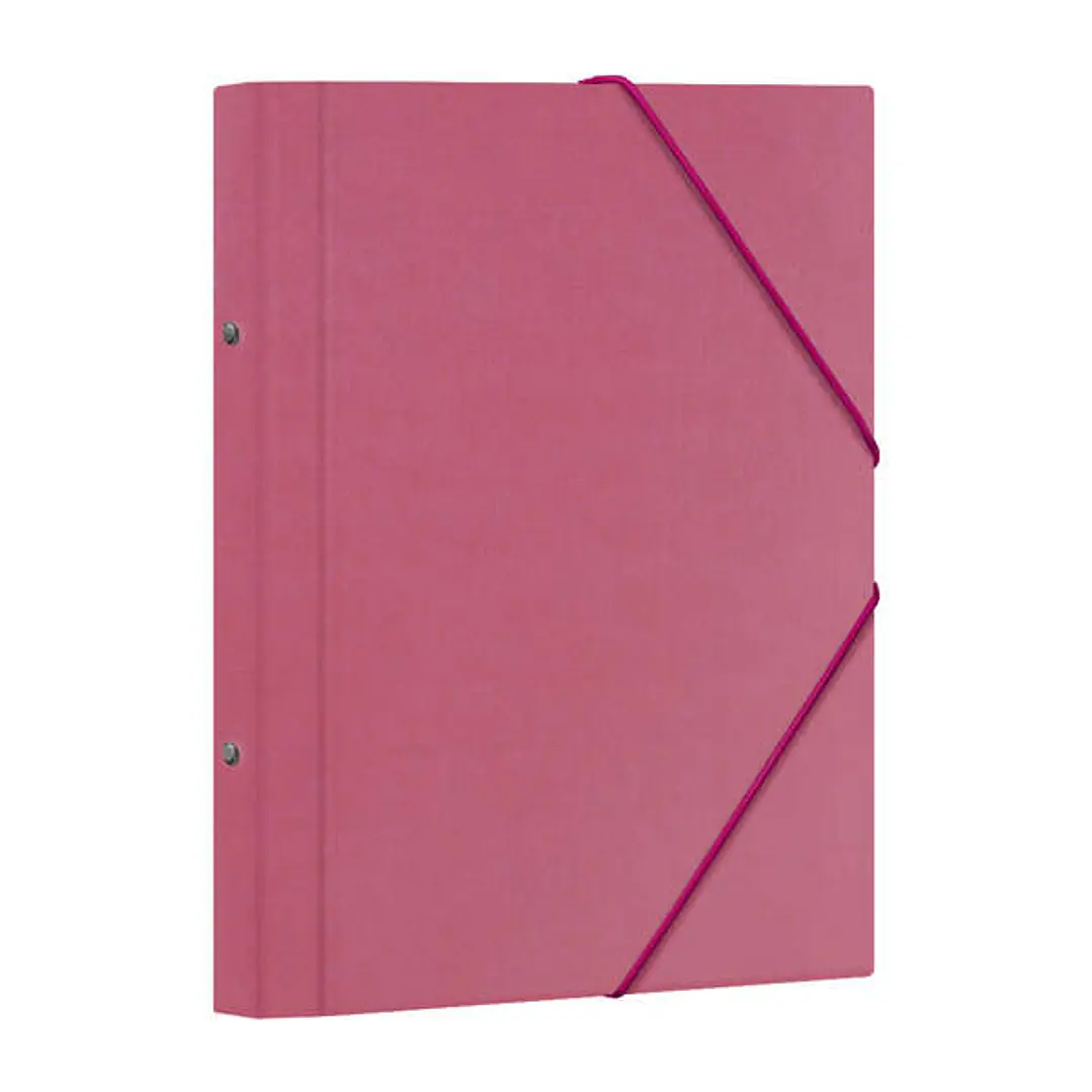 Dohe Carpeta Clasificadora 12 Departamentos - Formato Folio - Carton Plastificado - Cierre con Gomas - Color Rosa 1