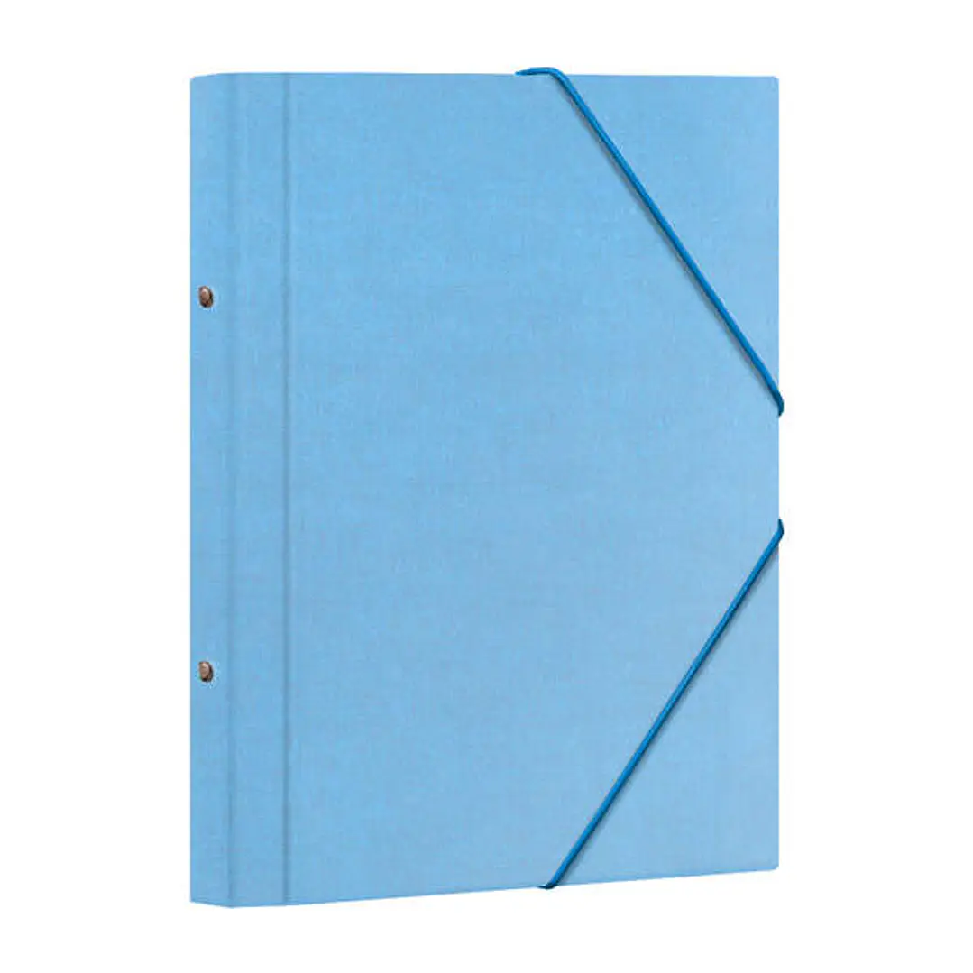 Dohe Carpeta Clasificadora 12 Departamentos - Formato Folio - Carton Plastificado - Cierre con Gomas - Color Azul Claro 1