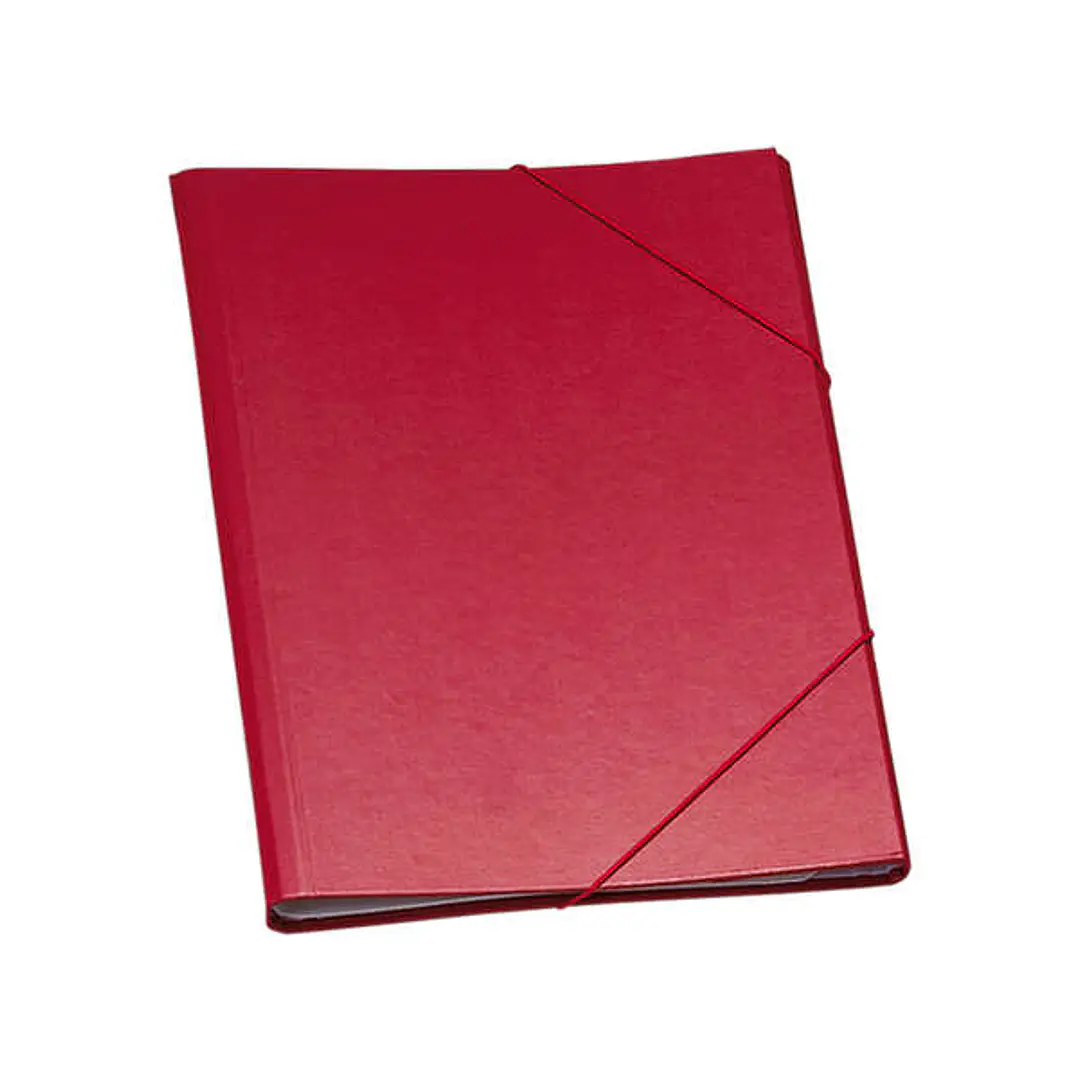 Dohe Carpeta Clasificadora 12 Departamentos - Formato Folio - Carton Plastificado - Cierre con Gomas - Color Rojo 1