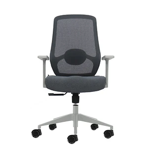 Oqonos Cherg 003 Silla de Oficina Ergonomica con Soporte Lumbar Ajustable en Altura y Profundidad, Respaldo de Malla Transpirable, Reposabrazos Fijos,