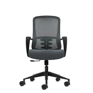 Oqonos Cherg 007 Silla de Oficina Ergonomica con Respaldo de Malla Transpirable, Piston de Gas Clase 4, Soporte Lumbar, Reposabrazos Fijos, Asiento Er