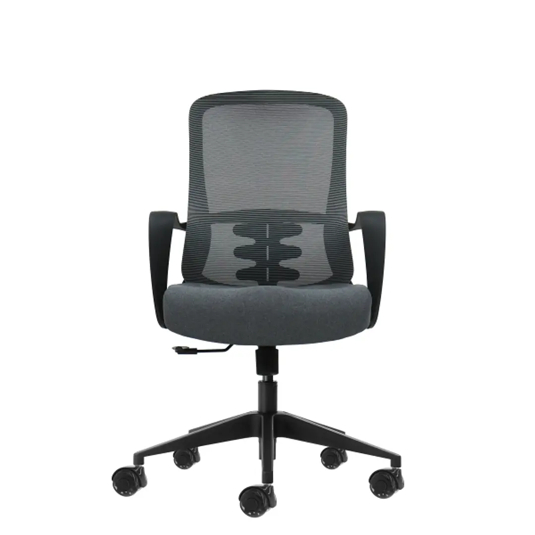 Oqonos Cherg 007 Silla de Oficina Ergonomica con Respaldo de Malla Transpirable, Piston de Gas Clase 4, Soporte Lumbar, Reposabrazos Fijos, Asiento Er 1