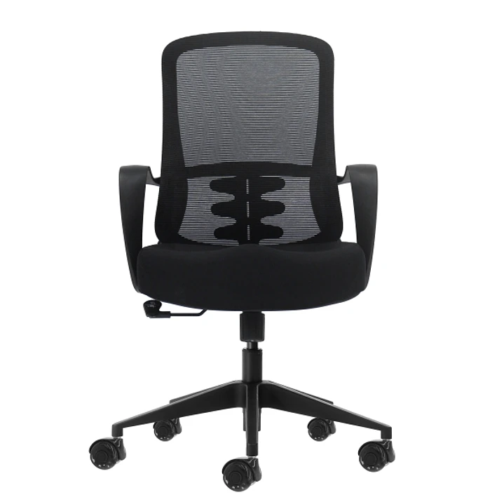 Oqonos Cherg 006 Silla de Oficina Ergonomica con Respaldo de Malla Transpirable, Piston de Gas Clase 4, Soporte Lumbar, Reposabrazos Fijos, Asiento Er 1