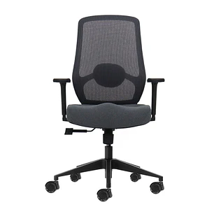 Oqonos Cherg 025 Silla de Oficina Ergonomica con Soporte Lumbar Ajustable en Altura y Profundidad, Reposabrazos 4D, Piston de Gas Clase 4, Asiento Erg