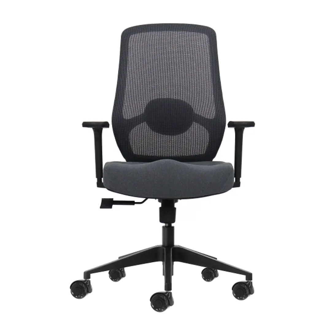 Oqonos Cherg 025 Silla de Oficina Ergonomica con Soporte Lumbar Ajustable en Altura y Profundidad, Reposabrazos 4D, Piston de Gas Clase 4, Asiento Erg 1