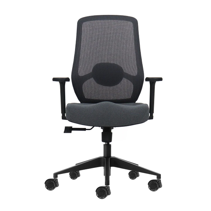Oqonos Cherg 025 Silla de Oficina Ergonomica con Soporte Lumbar Ajustable en Altura y Profundidad, Reposabrazos 4D, Piston de Gas Clase 4, Asiento Erg 1