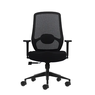 Oqonos Cherg 024 Silla de Oficina Ergonomica con Soporte Lumbar Ajustable en Altura y Profundidad, Reposabrazos 4D, Piston de Gas Clase 4, Asiento Erg