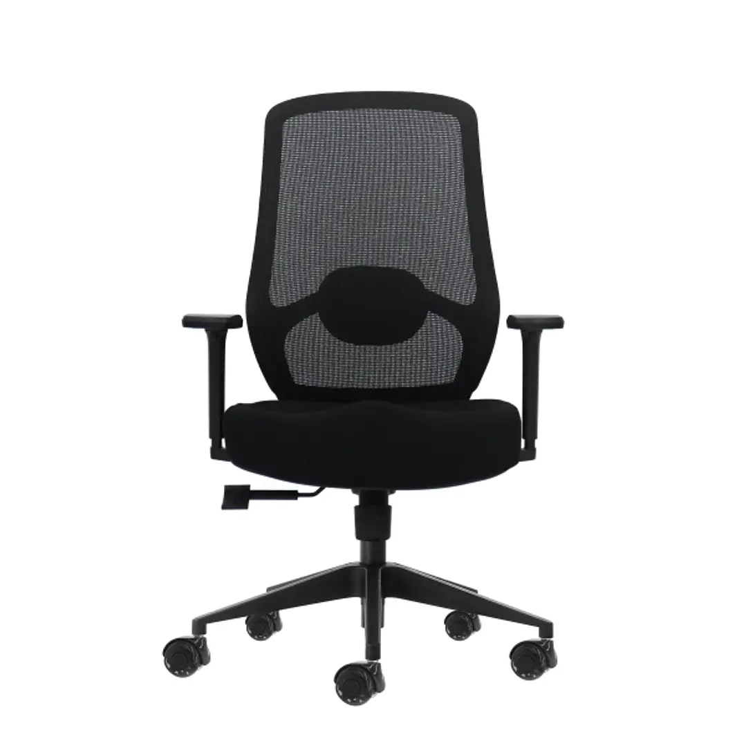 Oqonos Cherg 024 Silla de Oficina Ergonomica con Soporte Lumbar Ajustable en Altura y Profundidad, Reposabrazos 4D, Piston de Gas Clase 4, Asiento Erg 1