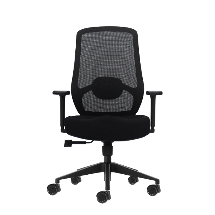 Oqonos Cherg 024 Silla de Oficina Ergonomica con Soporte Lumbar Ajustable en Altura y Profundidad, Reposabrazos 4D, Piston de Gas Clase 4, Asiento Erg 1